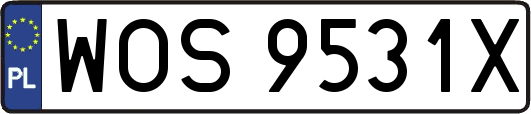 WOS9531X
