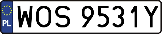 WOS9531Y