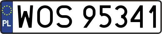 WOS95341