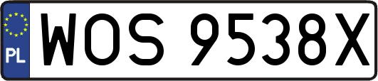 WOS9538X