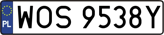 WOS9538Y