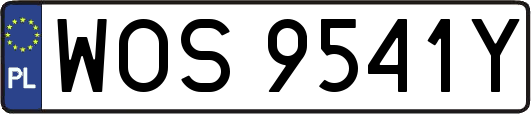 WOS9541Y