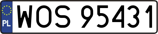 WOS95431