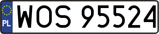 WOS95524