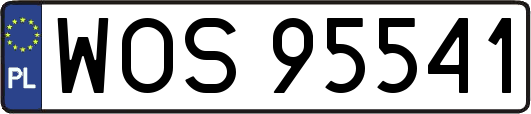 WOS95541