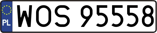 WOS95558