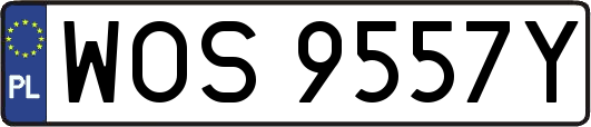 WOS9557Y