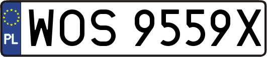 WOS9559X