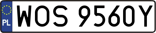 WOS9560Y