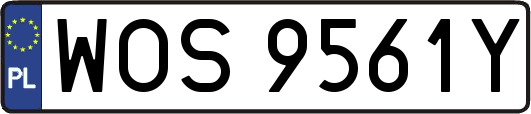 WOS9561Y