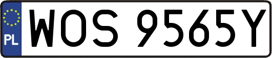 WOS9565Y