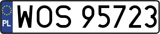 WOS95723