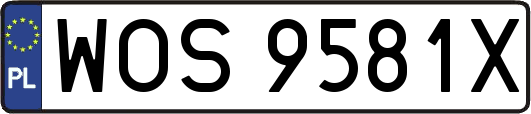 WOS9581X