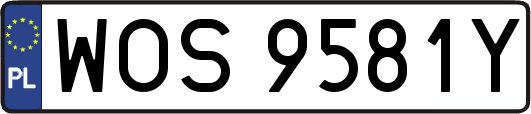 WOS9581Y