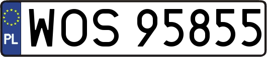 WOS95855