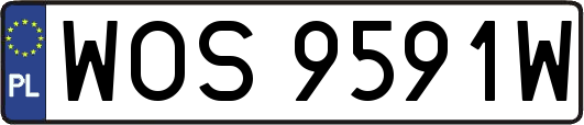 WOS9591W