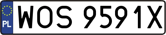 WOS9591X