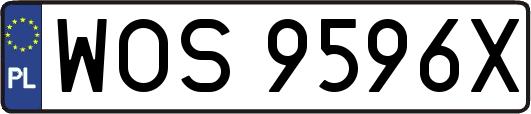 WOS9596X