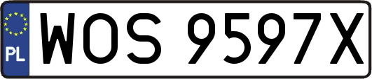 WOS9597X