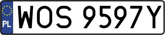 WOS9597Y