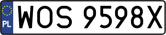 WOS9598X
