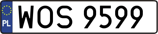 WOS9599