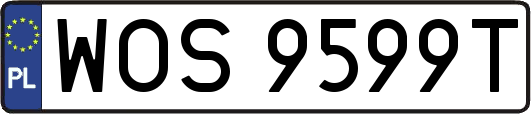 WOS9599T