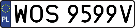WOS9599V