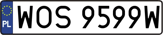 WOS9599W