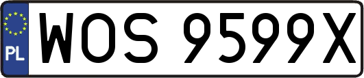 WOS9599X