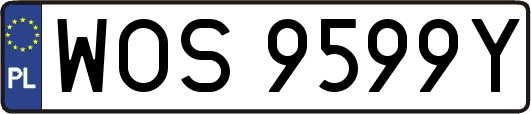 WOS9599Y