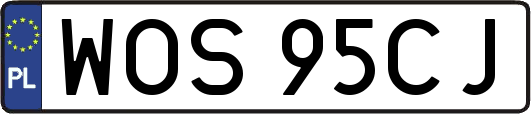 WOS95CJ