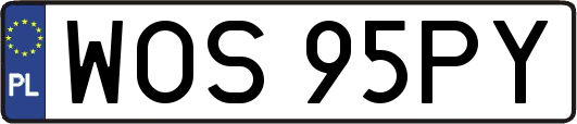 WOS95PY