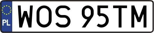 WOS95TM