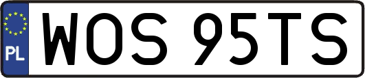 WOS95TS