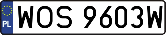 WOS9603W