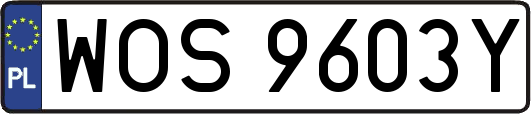 WOS9603Y