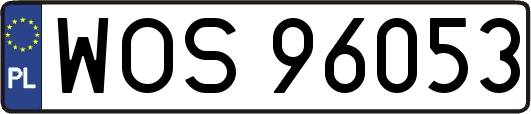 WOS96053