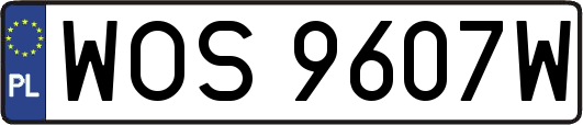 WOS9607W