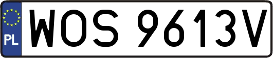 WOS9613V