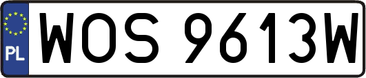 WOS9613W