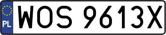 WOS9613X