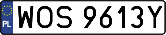 WOS9613Y
