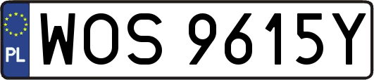 WOS9615Y