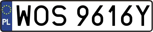 WOS9616Y