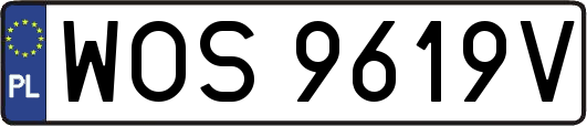 WOS9619V
