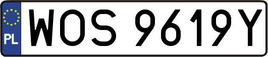 WOS9619Y