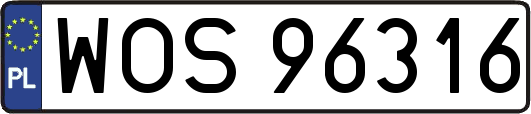 WOS96316