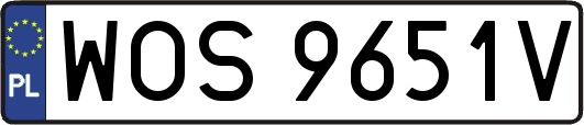WOS9651V