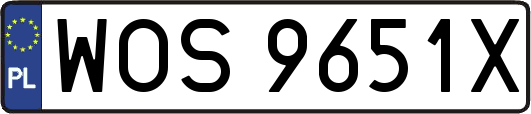 WOS9651X